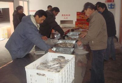 又到年关 海鲜大礼盒销售旺季到了_海产专题(海产品专题)_中国水产养殖网